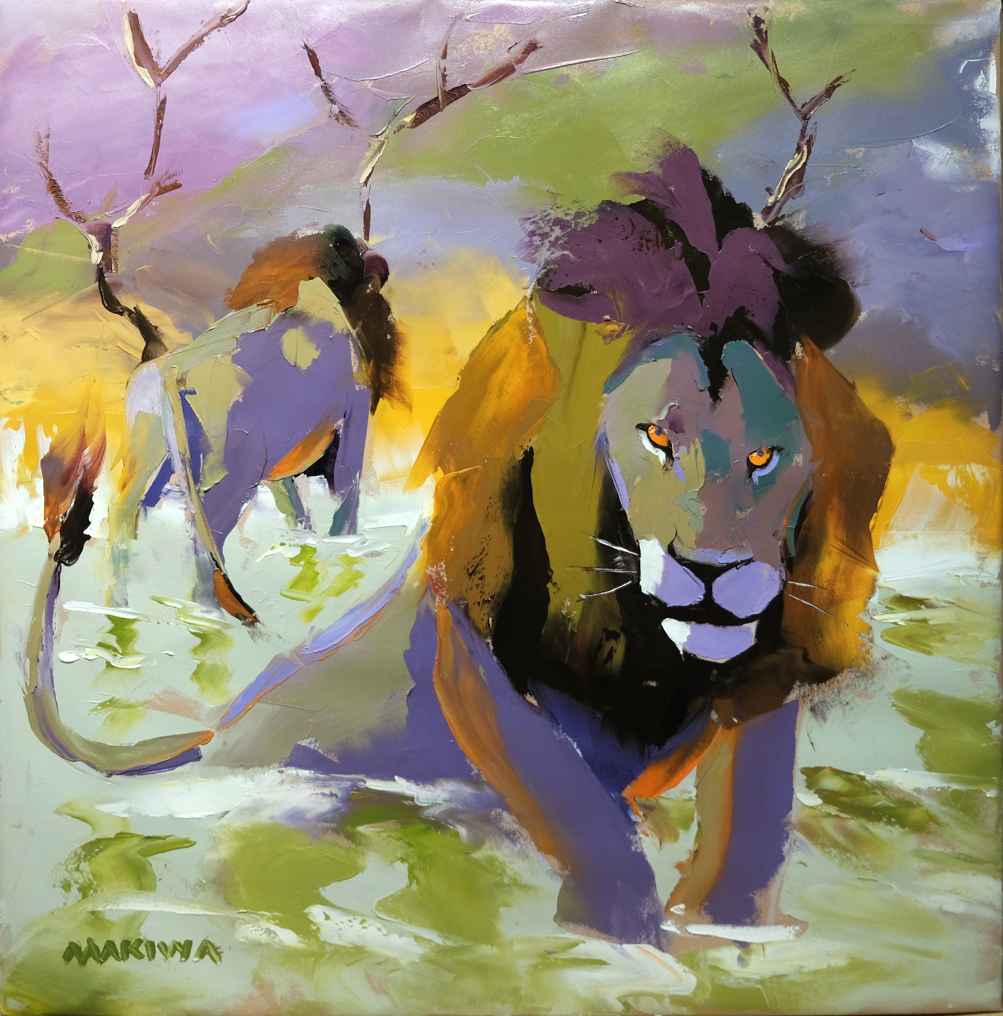 Lion Territory 79x79cm Oil On Canvas