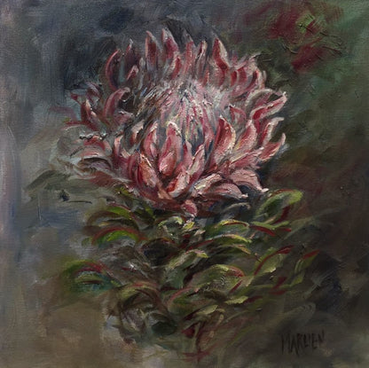 Protea 50x50cm Oil on Canvas