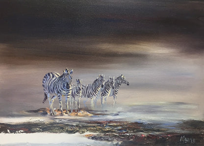 Zebras 50x70cm Oil on Canvas